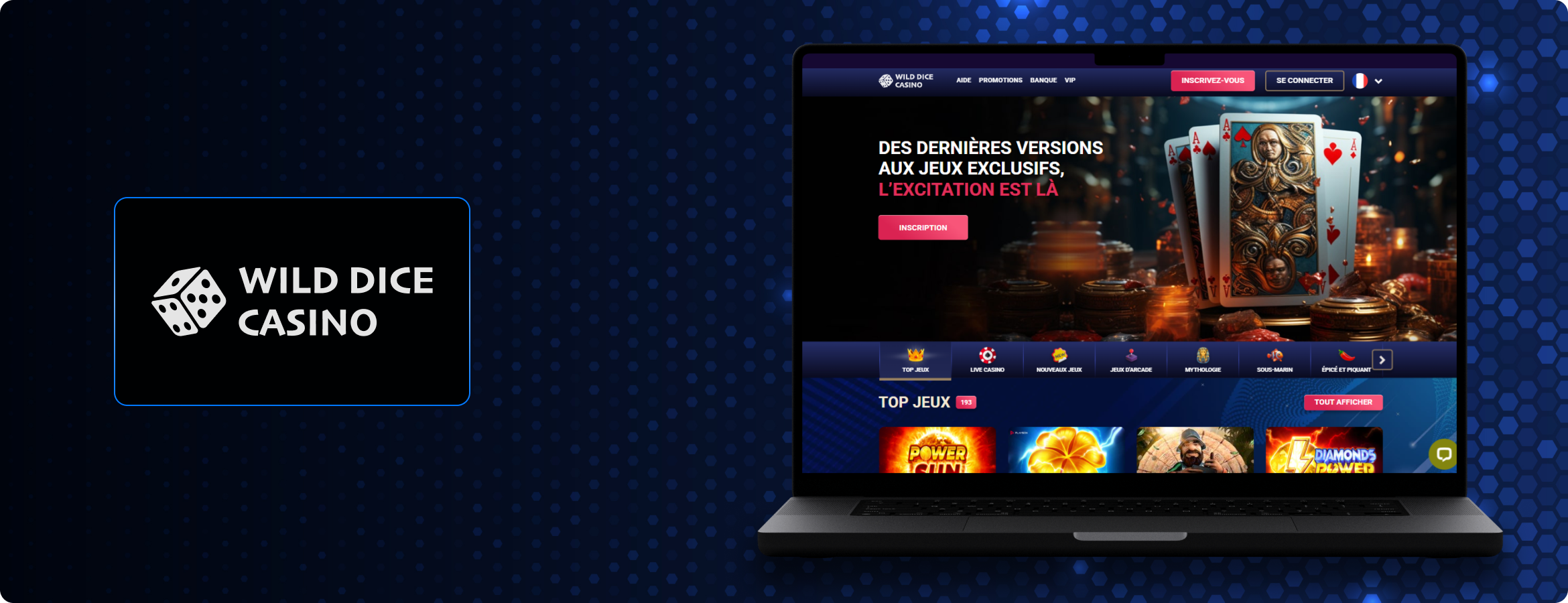 Wild Dice Casino Banner